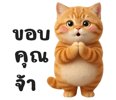 ลายที่ 6