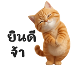 ลายที่ 13