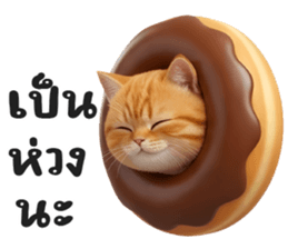 ลายที่ 15