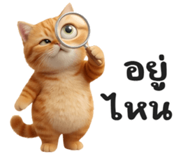 ลายที่ 17