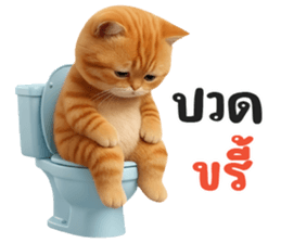 ลายที่ 19