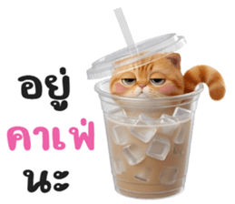 ลายที่ 25