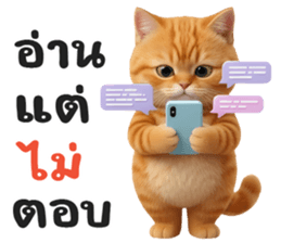 ลายที่ 29