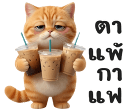 ลายที่ 33