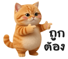 ลายที่ 35