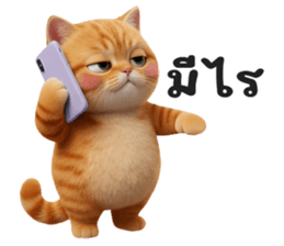 ลายที่ 43