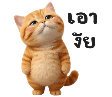 ลายที่ 23