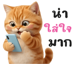 ลายที่ 47