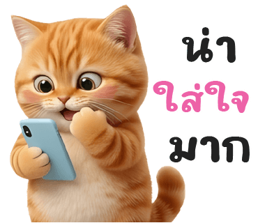 ลายที่ 24