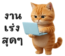 ลายที่ 49