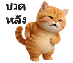 ลายที่ 51