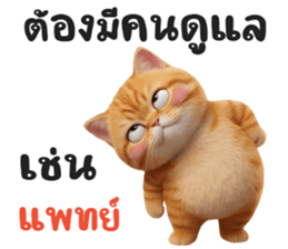 ลายที่ 53