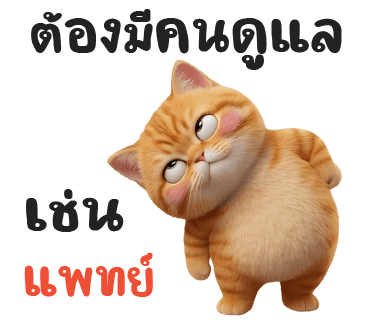 ลายที่ 27