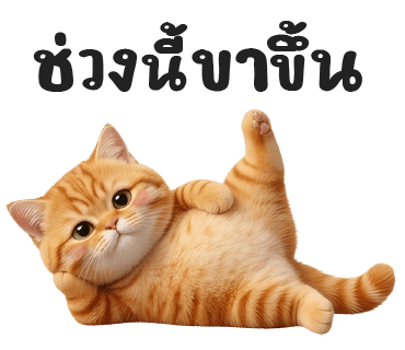 ลายที่ 30
