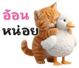 ลายที่ 65