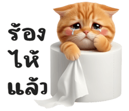 ลายที่ 67