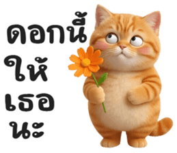 ลายที่ 69