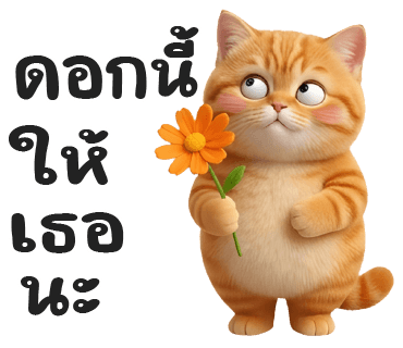 ลายที่ 35