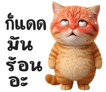 ลายที่ 36