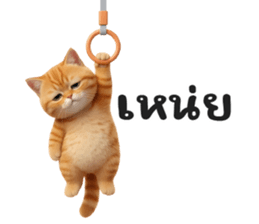 ลายที่ 75