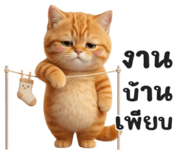 ลายที่ 77