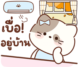 ลายที่ 23