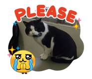 828738706