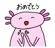 828794714