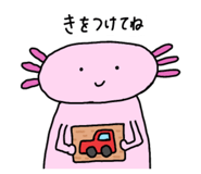 828794717