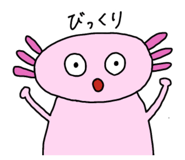 828794718
