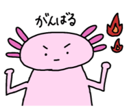 828794722