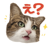828801539