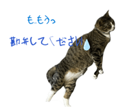 828823452