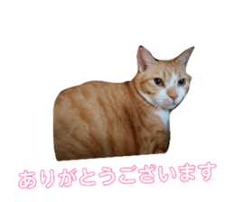828824010