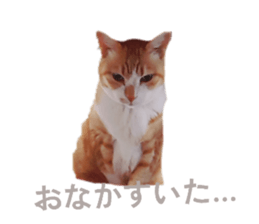 828824012