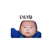 828825480