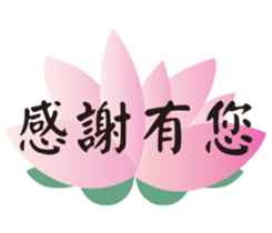 82882815