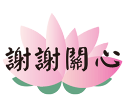 82882839