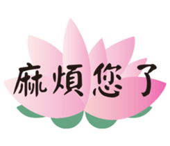 82882843