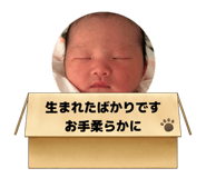 828842092