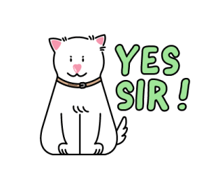 ลายที่ 5