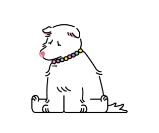 ลายที่ 19