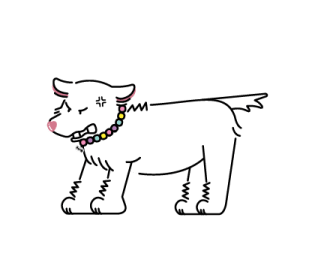 ลายที่ 27