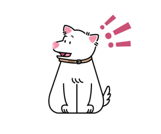 ลายที่ 43