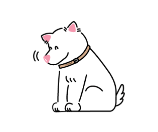 ลายที่ 45