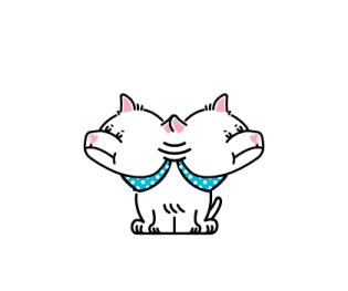 ลายที่ 57