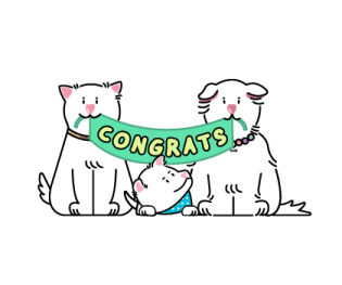 ลายที่ 65