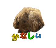 828861866