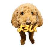 828861870