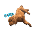 828861872